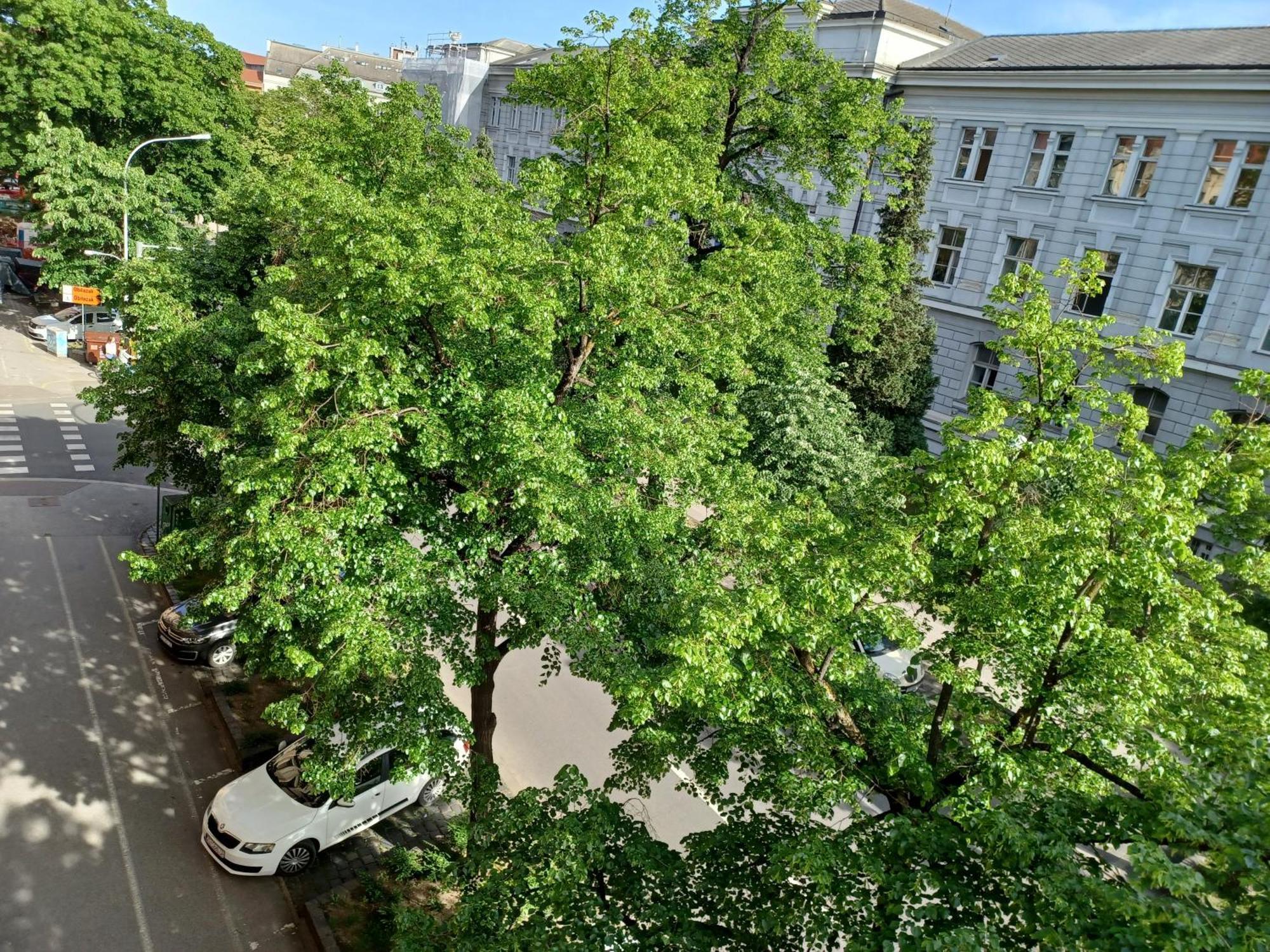 Apartment Theatrum Zagrzeb Zewnętrze zdjęcie